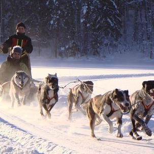 Top 10 things to do in Mongolia in Winter