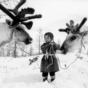 Mongolian reindeer herders are fighting for their survival