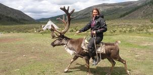 Reindeer herders village/ Tsaatan tour