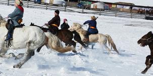 Winter Horse Trekking